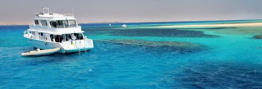 Photo bateau voyage dauphins egypte