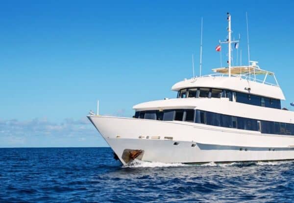 LE BATEAU SILVER CROISIERE SILVER BANK NAGER AVEC LES BALEINES A BOSSE