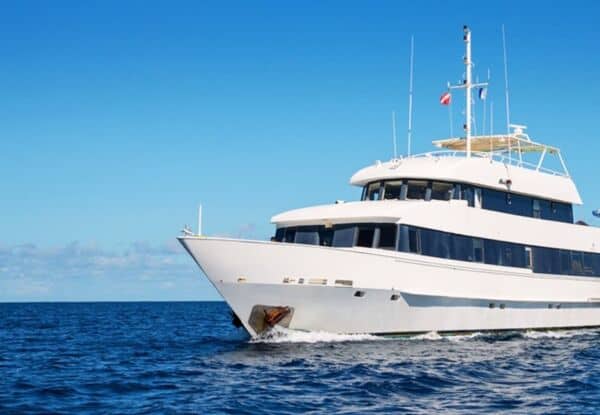 BATEAU CROISIERE BATEAU SILVER BANK NAGER AVEC LES BALEINES A BOSSE
