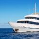 BATEAU CROISIERE BATEAU SILVER BANK NAGER AVEC LES BALEINES A BOSSE