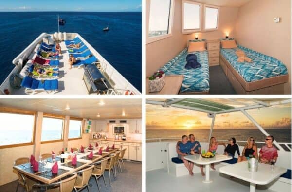 le bateau et ses espaces EXPEDITION BATEAU NAGE AVEC LES BALEINES A BOSSE SILVER BANK