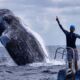 NAGER AVEC LES BALEINES A BOSSE EXPEDITION SILVER BANK REPUBLIQUE DOMINICAINE