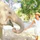 RENCONTRE ELEPHANT Thaïlande