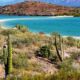SEJOUR MEXIQUE AVENTURE NATURE BALEINES ET OTARIES PETIT GROUPE ACCOMPAGNE