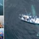 VOYAGE EN PETIT GROUPE AU MEXIQUE AVEC DES SPECIALISTES A LA RENCONTRE DES BALEINES GRISES EN BATEAU
