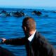 VOYAGE AVENTURE PETIT GROUPE DAUPHINS BALEINES OTARIES MEXIQUE