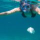 VOYAGE BIEN ETRE ET ENERGIES LUC BODIN SNORKELING OTARIES ET BALEINES GRISES MEXIQUE