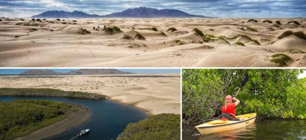 VOYAGE THEME BIEN ETRE AU MEXIQUE BALEINES GRISES ET ACTIVITE CANOE