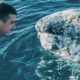 VOYAGE RESPONSABLE AU MEXIQUE AVEC DES SPECIALISTES A LA RENCONTRE DES BALEINES GRISES