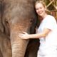 Elephant Thaïlande voyage écoparticipatif Dolphinesse