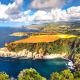nager dauphin acores paysages