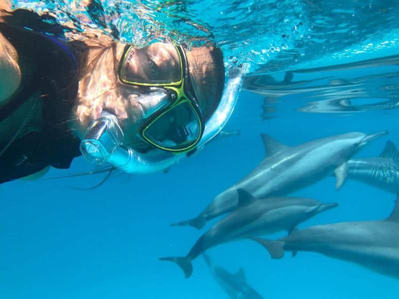 nager avec les dauphins