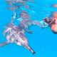 Nager avec les dauphins en Mer Rouge Valérie VALTON Dolphinesse