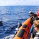 Observation dauphins Açores
