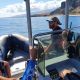 Nager avec les baleines à La Réunion