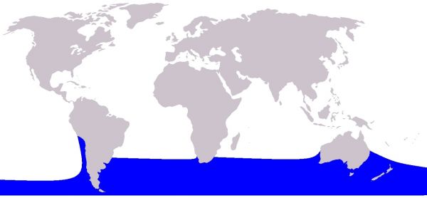 répartition dauphin aptère austral
