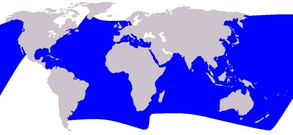 répartition dauphin bleu et blanc 