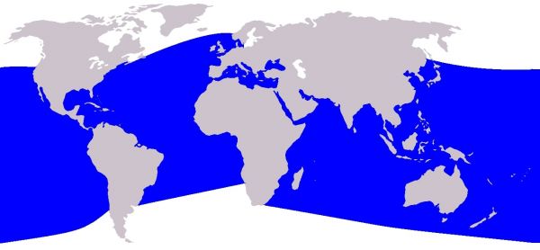 répartition géographique du grand dauphin
