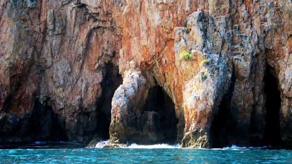 Excursion en mer grottes, caves et falaises à Faïal aux Acores 