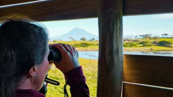 Excursion oiseau avec un biologiste ou ornithologue aux Açores