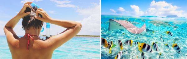 Nager avec les raies Moorea