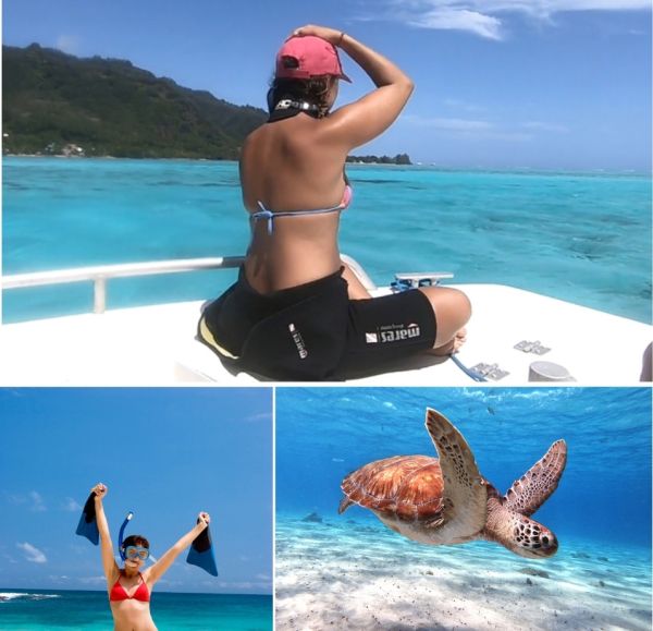 Voyage nager tortues baleines Moorea
