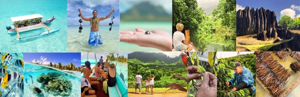 Voyage baleines et merveilles de Polynésie Extension Raiatea et Tahaa Dolphinesse
