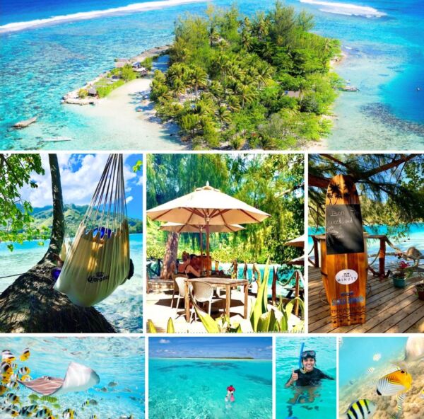 voyage en Polynésie rencontres baleines et snorkeling Moorea Bora bora Tahiti